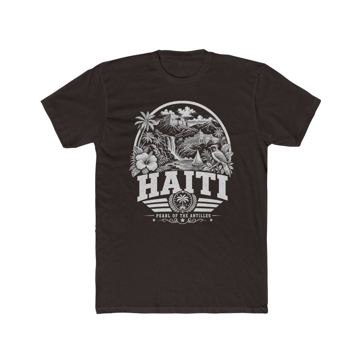 Haiti Men's Tee — Solid Dark Chocolate